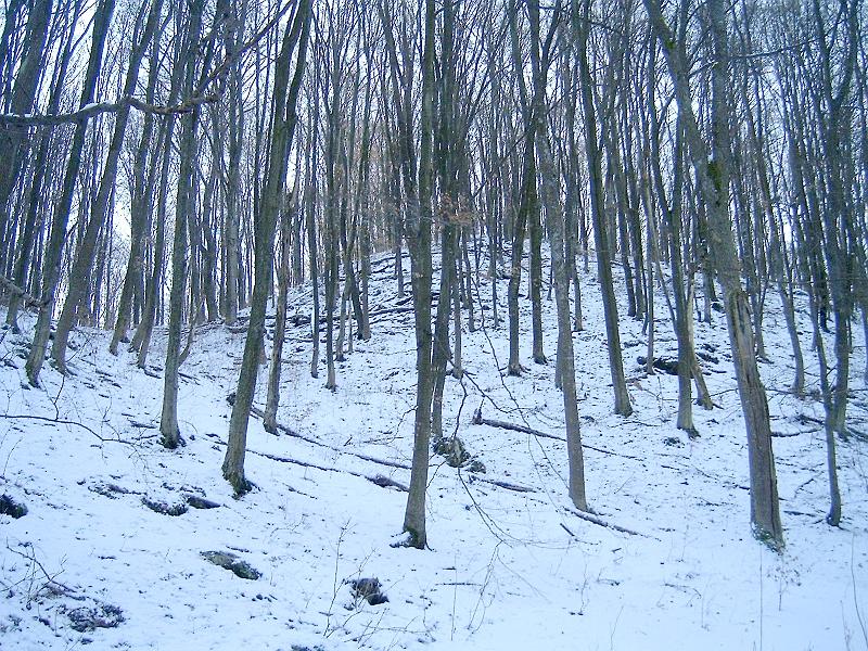 20110122 031.jpg